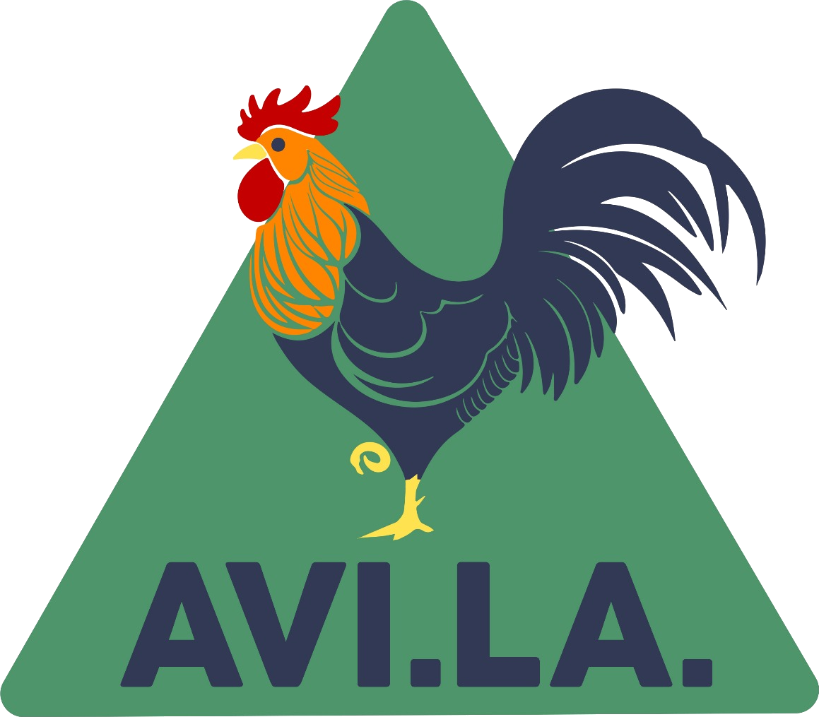 Avila